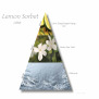 Lemon Sorbet PÖ