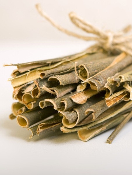White Willow Bark Extract 20%